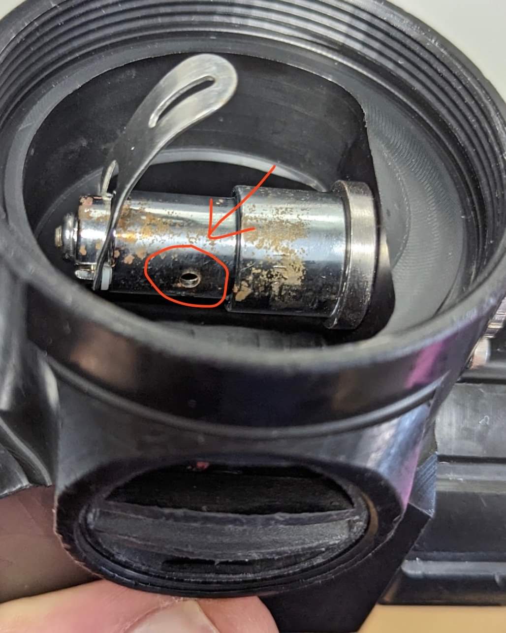 jjccr-bov.jpg